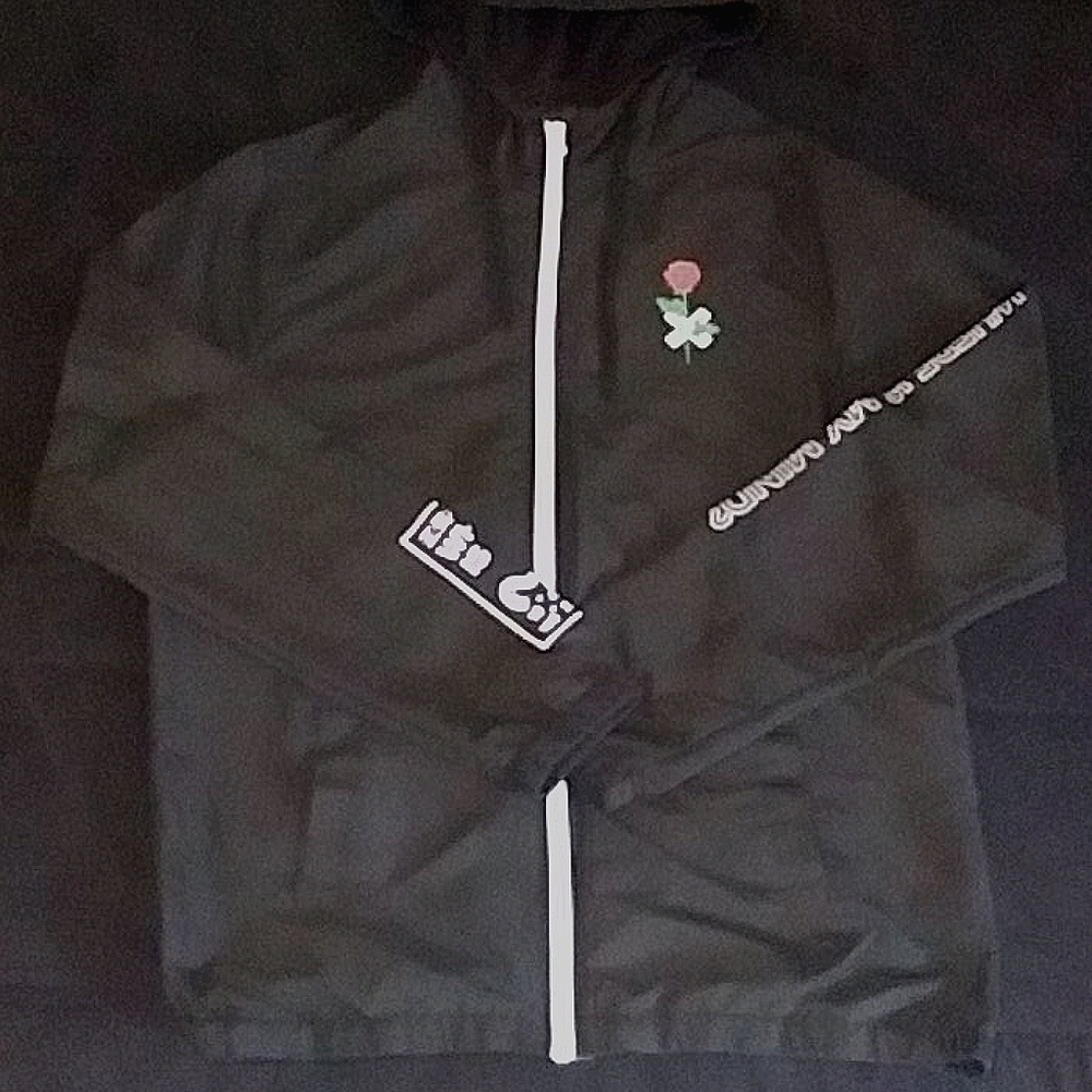 Jacket (windbreaker)